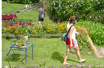 Tourist at Garden in Boquete, Panama